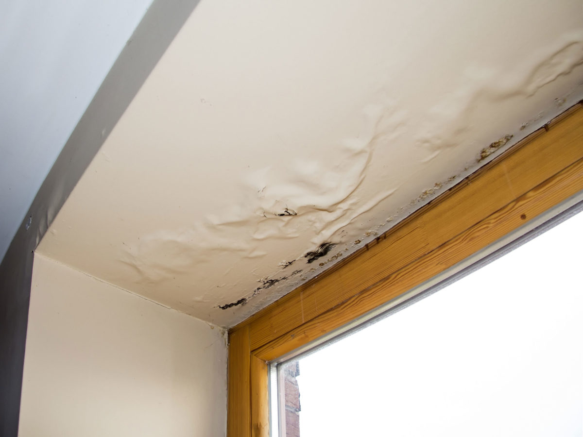 Humidity & Moisture Damage Roof Repair in Baltimore, MD